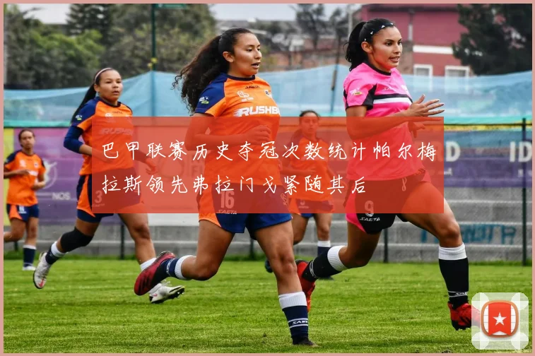 巴甲联赛历史夺冠次数统计帕尔梅拉斯领先弗拉门戈紧随其后