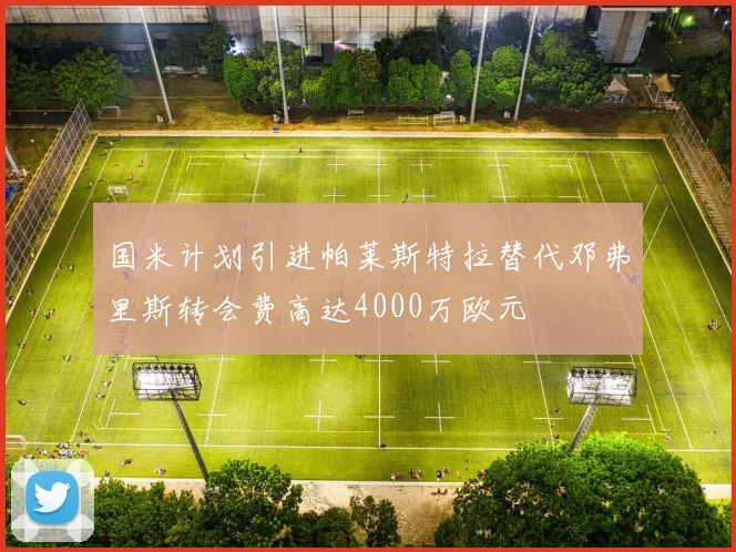 国米计划引进帕莱斯特拉替代邓弗里斯转会费高达4000万欧元