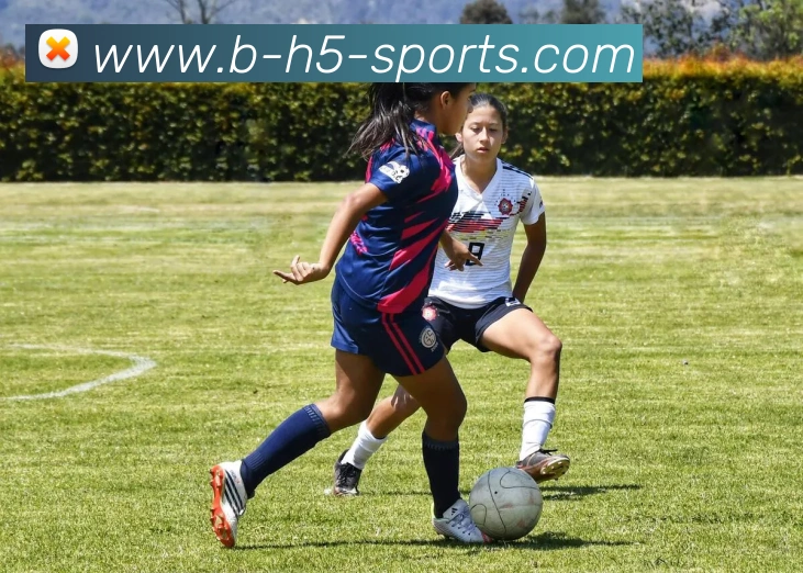 B体育APP 高清赛事图